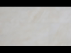 Un embrague de la leva de la manera que lleva el tope de la horquilla de retención de la serie del BB anda sin embragar el embrague